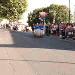 serrone 2014 (21)